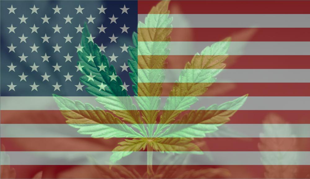 A beautiful marijuana cannabis leaf on the US flag and grass with lens illumination